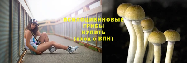 сатива Верхний Тагил