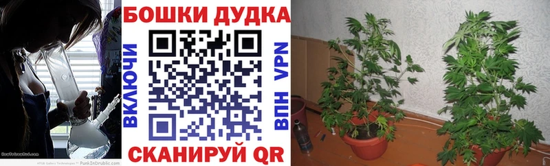 Канабис OG Kush  MEGA маркетплейс  Самара 